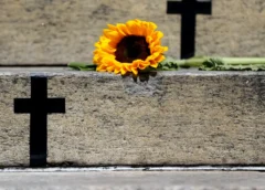 Caso de Itumbiara acende alerta para violência vicária; entenda