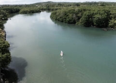 Nota de Repúdio: A Degradação da Bacia do Rio Joanes